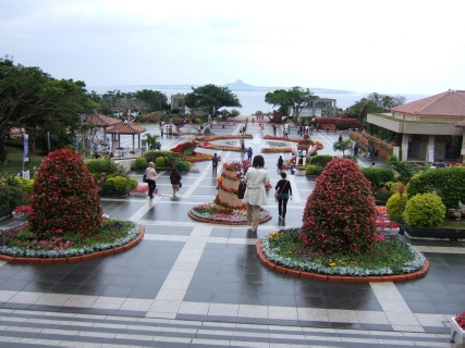 DSCF1423.jpg