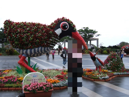 DSCF1425.jpg