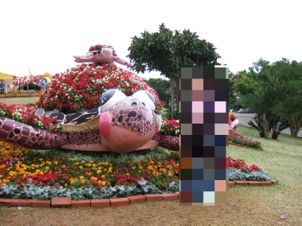 DSCF1432.jpg