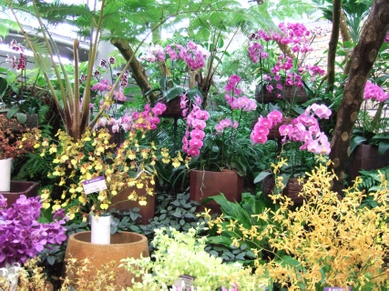 DSCF1469.jpg