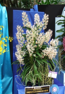 DSCF1485.jpg