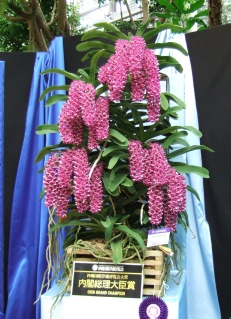 DSCF1486.jpg