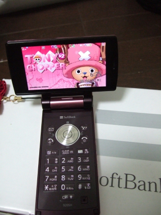 DSCF1623.JPG