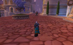 WoWScrnShot_061110_052504.jpg