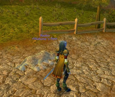 WoWScrnShot_091907_231516.jpg