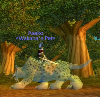 WoWScrnShot_091907_231602.jpg
